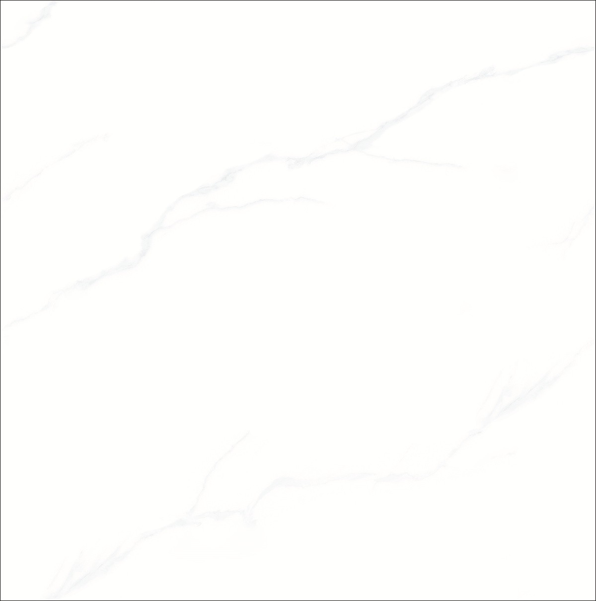 8SW058