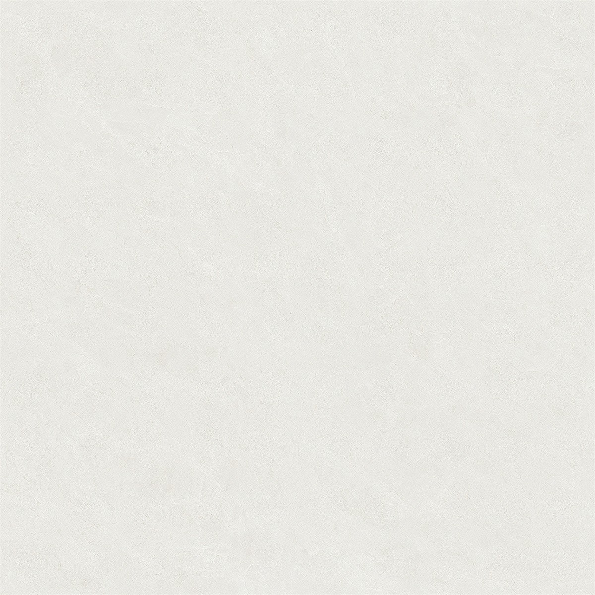 8SW104