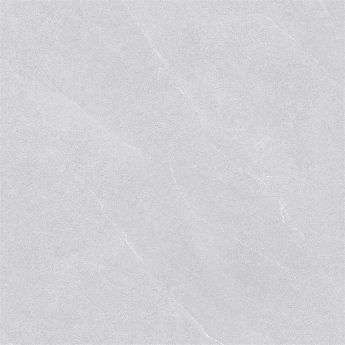 8SW106