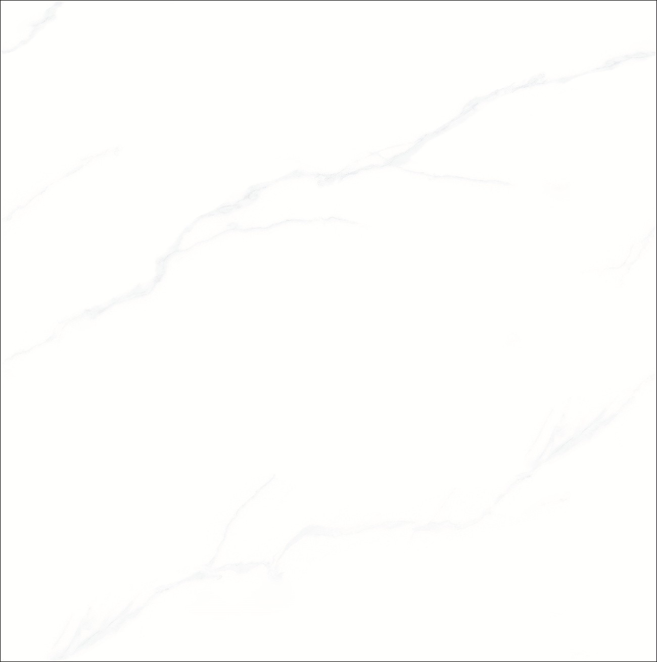 8SW058