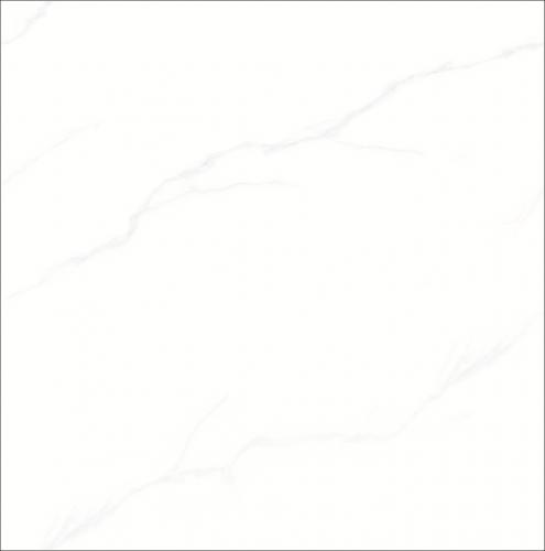 8SW058