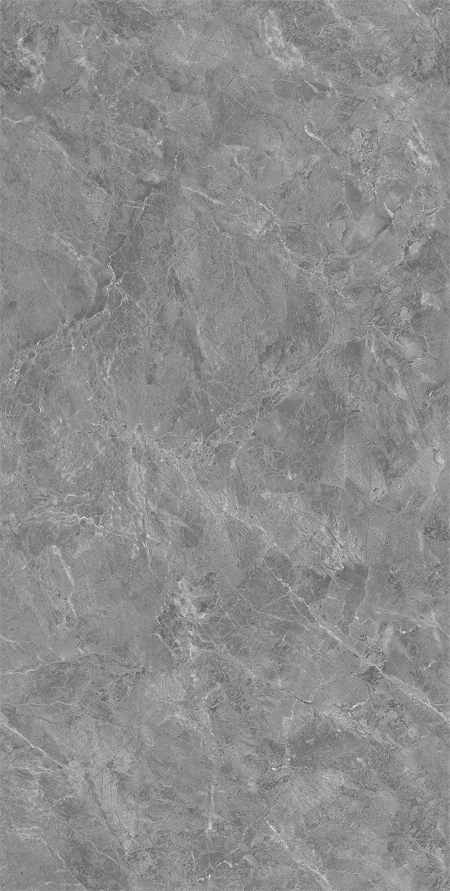 75S005