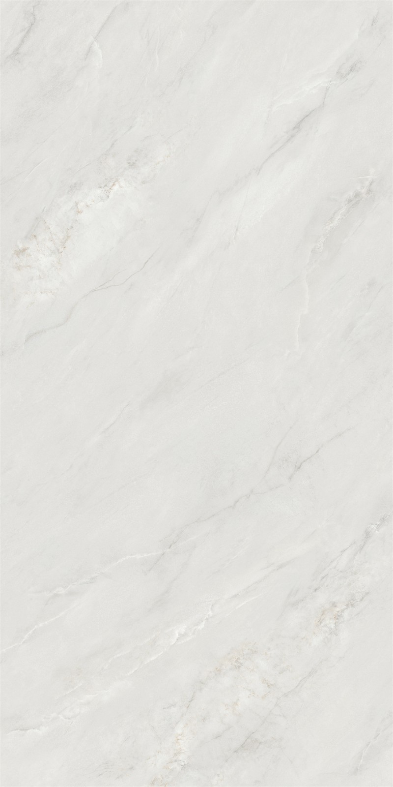 715SW219