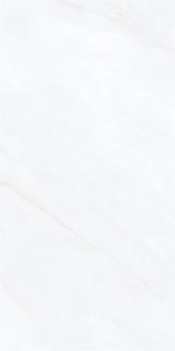 715SW216