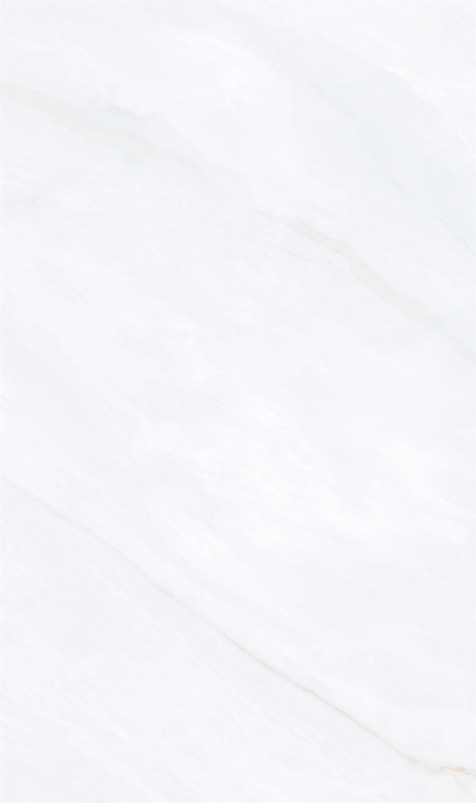 813SW216