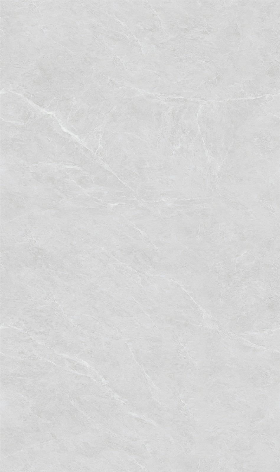 813S607