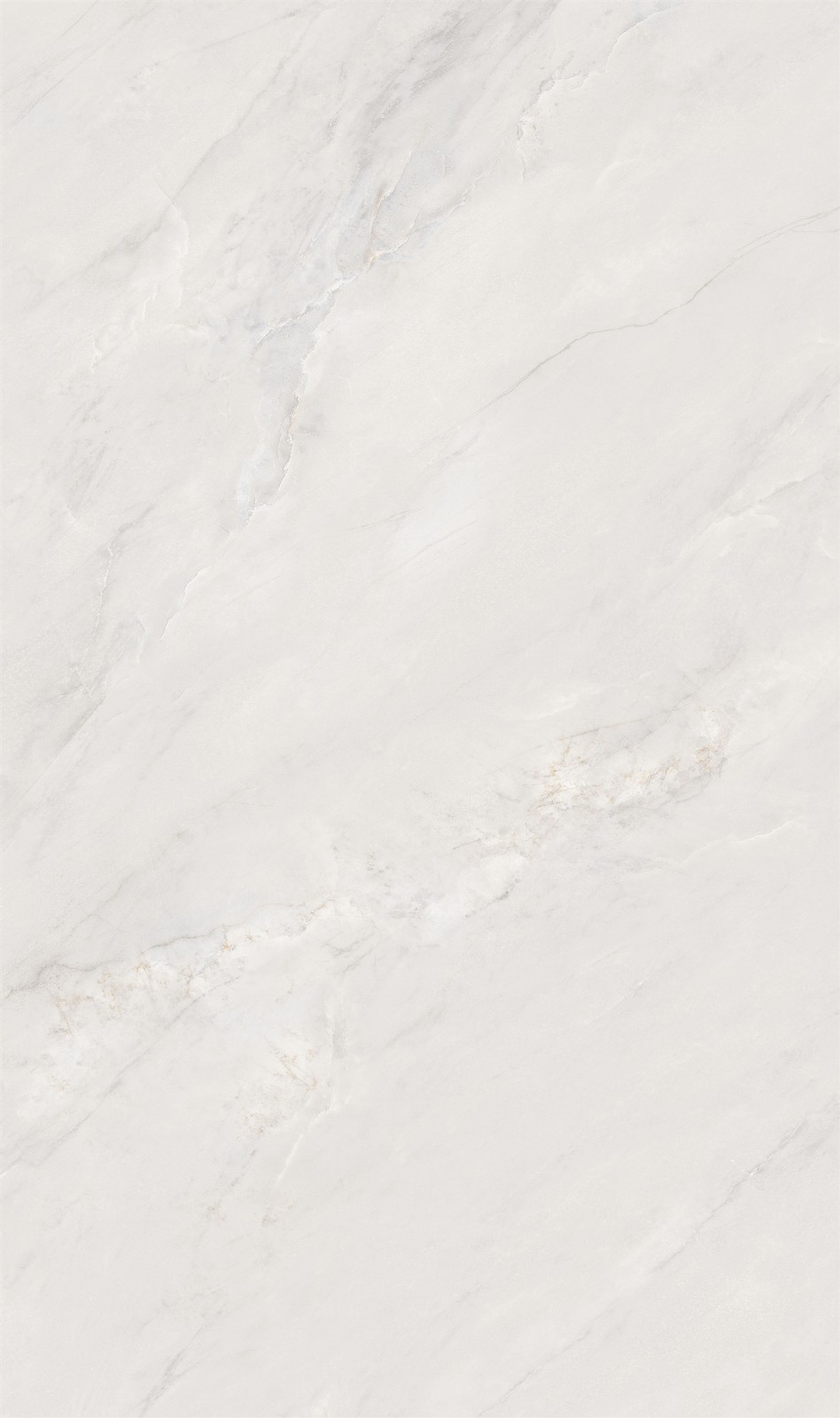 813SW219