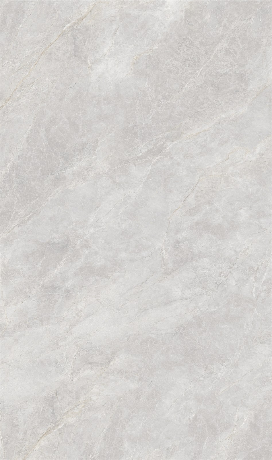 8135SW208
