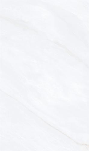 813SW216