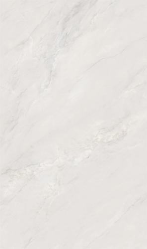 813SW219