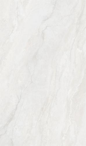 8135SW213