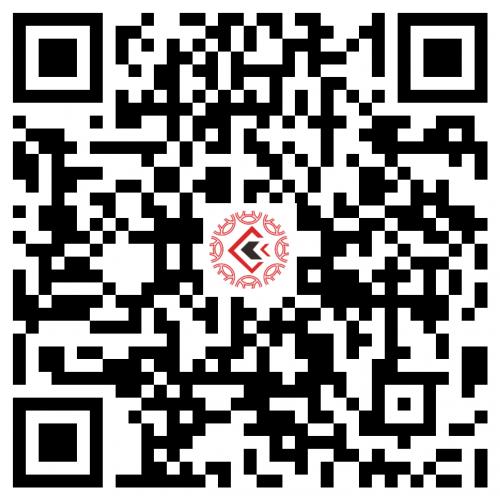 8135SW205