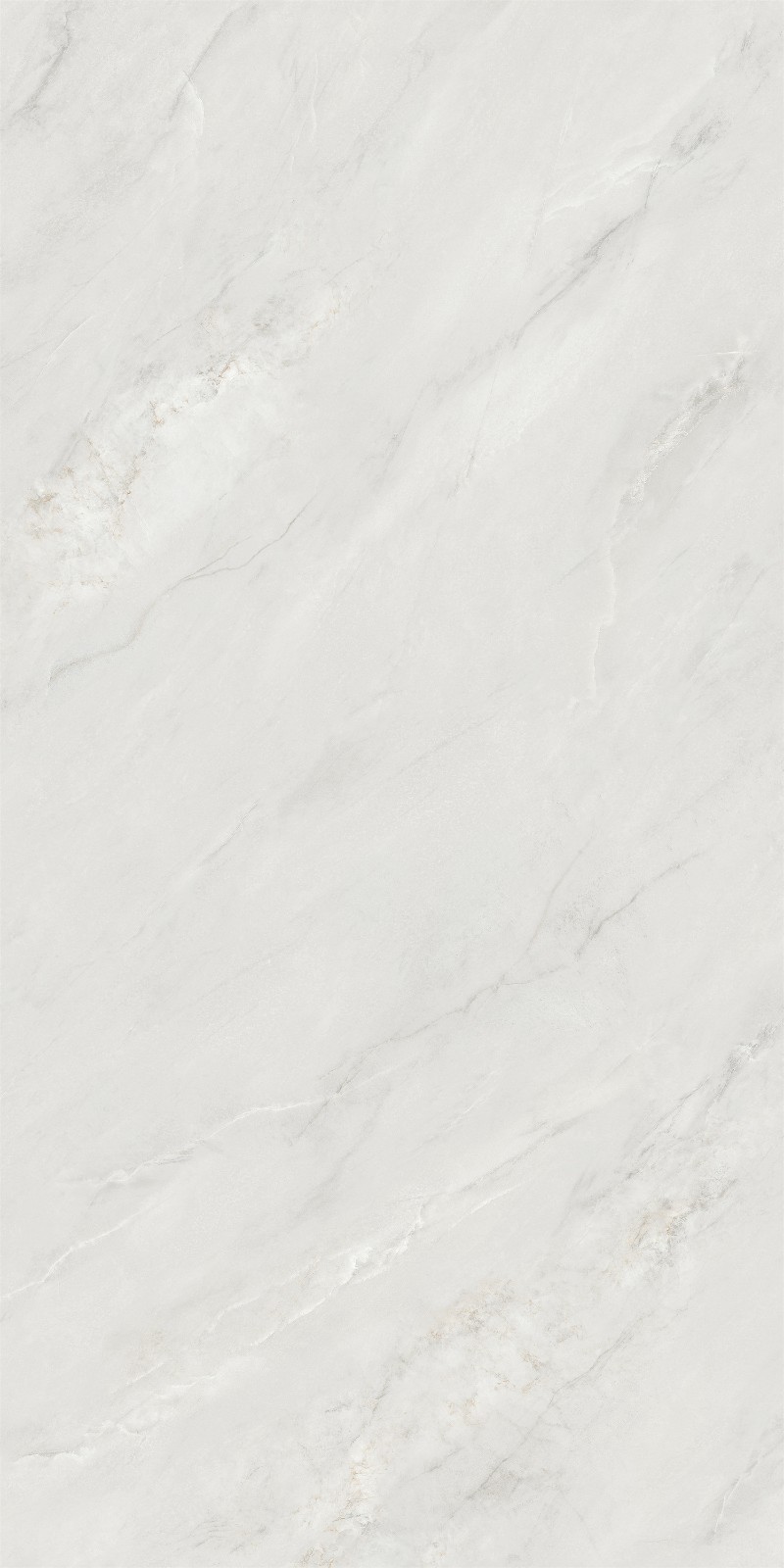 612SW219