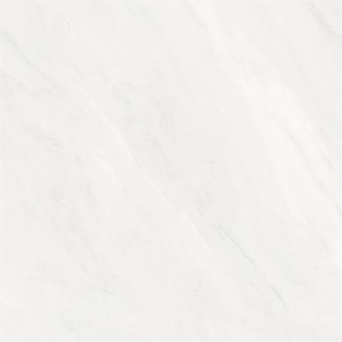SF8521